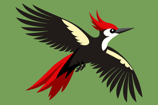recommend clip art: woodpecker vector art and illustration