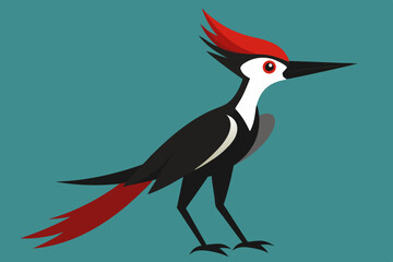 woodpecker vector art and illustration