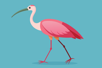 Heron vector art and illustration