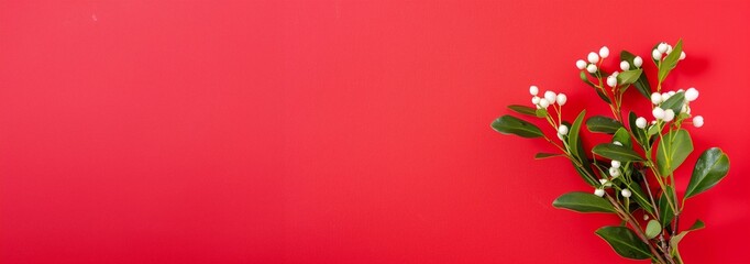 horizontal image of a Christmas mistletoe on anisolated dark red background with copy space for text. Copy space for text. For banner, design, social media, blog, cover, wallpaper, thumbnail, youtube,