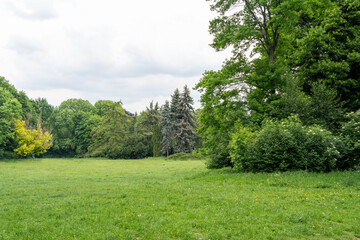 Spring Meadow Texture Background, Green Spring Landscape with Copy Space, Idyllic Meadow Banner