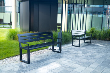 Perspective view of paved path with green lawn, decorative grass and modern wooden benches in front of gabion tree tubs made of wire and filled with stones in recreation area near modern office build