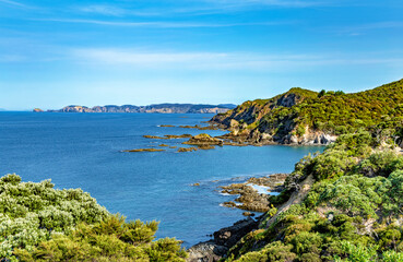 Taupiri Bay, North Island, New Zealand, Oceania.