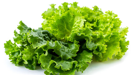 Fresh Green Lettuce Leaves Isolated on White Background
