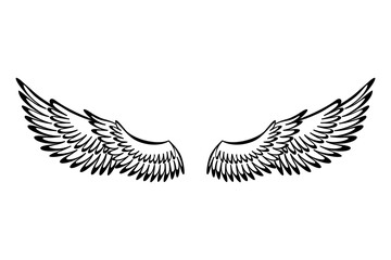 Fototapeta premium Wings sketch. Stylized birds wings. Hand drawn contoured stiker wing in open position. Vector design elements in coloring style