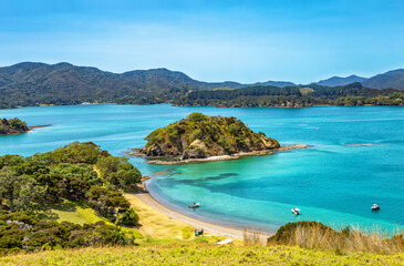 Round Island, Urupukapuka Island, Bay of Islands, North Island, New Zealand, Oceania.