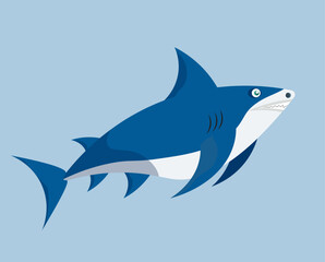 Vector shark illustration 