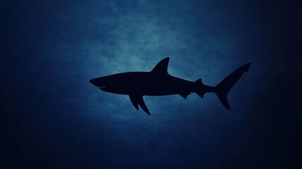 Obraz premium A silhouette of a shark swimming in deep blue water.