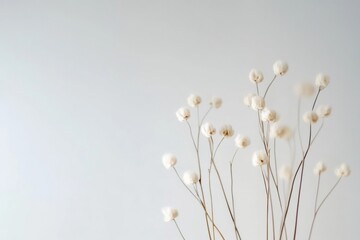 Abstract Floral Bouquet in Soft White Background, Symmetrical Vertical Stems, Blurred Motion, High Definition, Artistic Long Exposure , Wide-Angle Perspective, Calming Mood, Smooth Tones