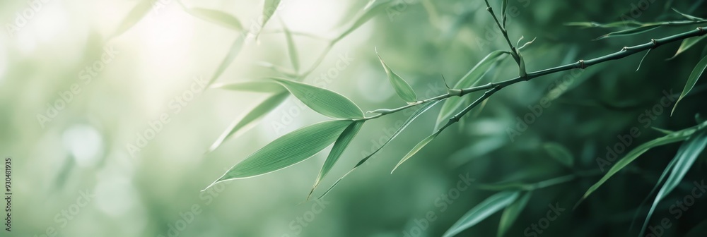 Sticker Tranquil Bamboo Leaves in Soft Sunlight - A serene image of delicate bamboo leaves bathed in soft sunlight, symbolizing nature's beauty, tranquility, growth, renewal, and peace.