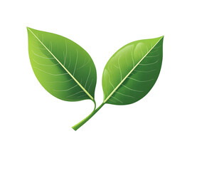 green leaves vector icon design on white background.