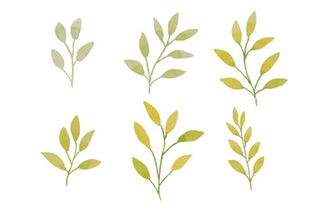 Assortment of watercolor leaves illustration set - green leaf branches collection for wedding, greetings, stationary, wallpapers, fashion, background. olive, green leaves, Eucalyptus etc