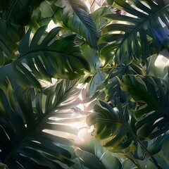 Tropical Leaves and Sunlight
