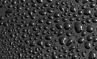 Water drops on a black background. Texture