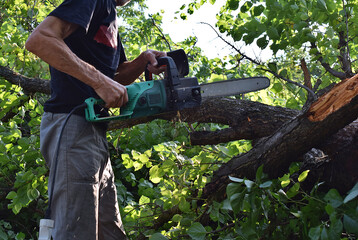 Naklejka premium A man cuts off with an electric saw a branch of a broken tree after a storm.