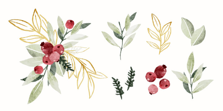 Christmas Winter Plants Foliage Greenery Elements Bundle