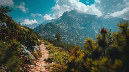 Fototapeta premium View from a hiker's eyes looking at a mountain trail