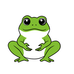 green frog isolated on white