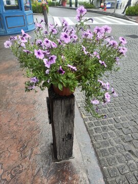Flower Pot with Purple Petunias on Wooden Post in Urban Setting - Floral Decor.
