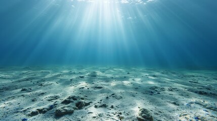 The image is of a vast, empty ocean floor with a bright sun shining down on it