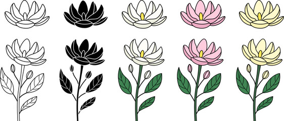 Magnolia Flower with Stem and Leaves Illustration Clipart - Isolated Outline and Silhouette Stamp © ATerra