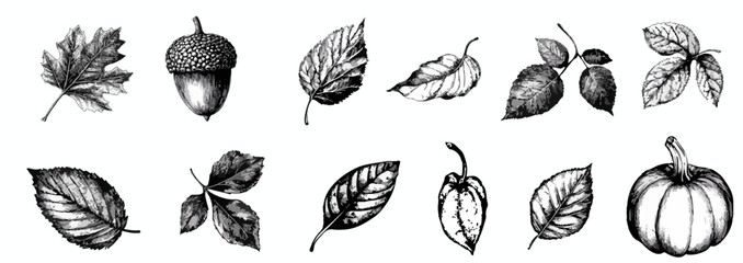 Collection autumn leaves, acorns, and pumpkin with grainy photocopy effect. y2k grunge fall collection.  Grain effect and stippling. Vector dots texture.	