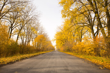 Beautiful autumn landscape along an empty country road