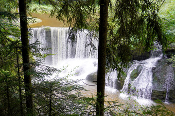 Blick durch die Bäume auf den Geratser Wasserfall im Allgäu in Bayern