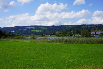 Fototapeta premium Blick auf den kleinen Alpsee in Immenstadt im Allgäu im Sommer