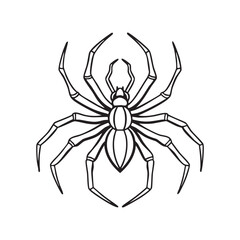 Spider with detailed legs and body, black and white Line Art vector illustration 