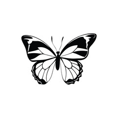 Butterfly Minimalist and Simple Silhouette  Vector Illustration
