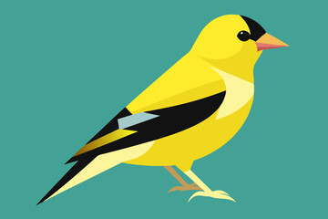 Goldfinch Bird vector art illustration