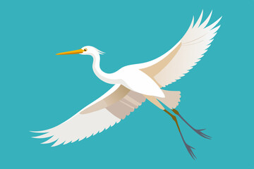 Egret  Bird vector art illustration
