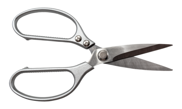 Stationery scissors on a white background for office work. Tailor's or seamstress's scissors