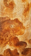 Striations In Wood