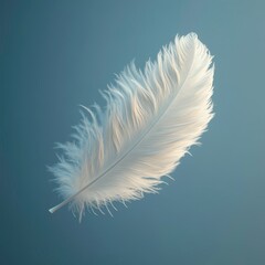 Obraz premium Harmony in Simplicity: A Minimalist Reflection of Form and Space