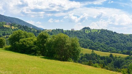 Fototapeta premium mountain meadow in afternoon light. countryside summer landscape with valley behind the forest on the grassy hill. fluffy clouds on a bright blue sky