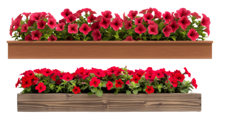 Wooden brush with natural bristles. Shoe cleaning accessory with hand isolated on transparent background cutout png