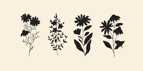 Flat vector camomile, st.john's wort, calendula, echinacea flowers	