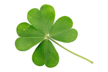 Green Four-Leaf Clover
