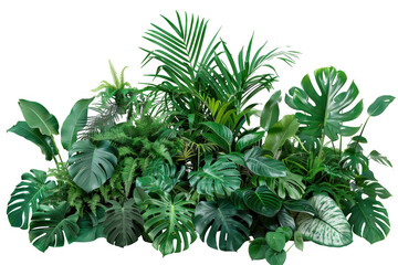 Obraz premium Assortment of Green Tropical Plants