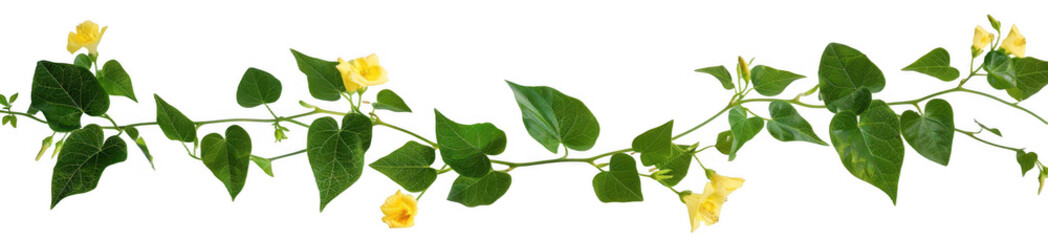 Obraz premium Green Vine with Yellow Flowers