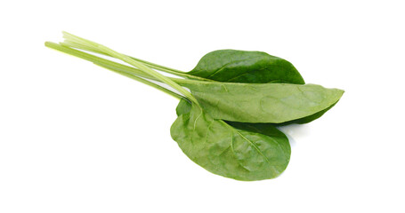 Green spinach leaves on white background