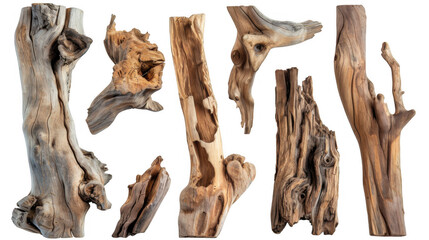 Fototapeta premium Natural Driftwood Pieces
