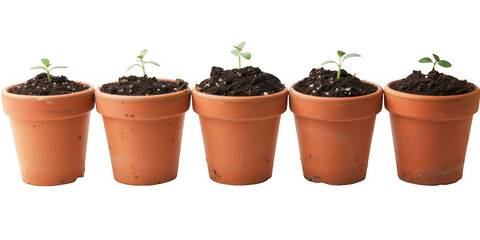 Fototapeta premium Terracotta Pots Filled with Soil