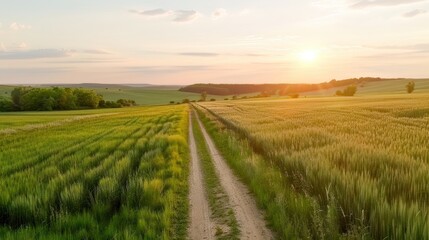 Breathtaking sunset over a rural pathway, flanked by lush green fields, capturing the essence of tranquility and nature's beauty.