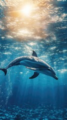 A serene underwater scene featuring a dolphin swimming gracefully through sunlit waters, showcasing marine beauty.