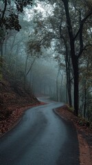 Naklejka premium A winding road through a misty forest, surrounded by tall trees and autumn leaves, evoking a sense of tranquility and mystery.