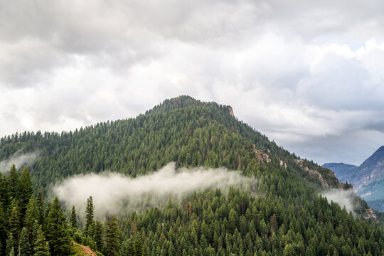 Low Fog Tibble Fork Mountains Tree Landscapes Cloudy Morning