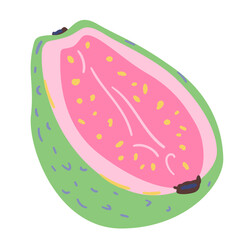 Guava half doodle vector illustration isolated on white.